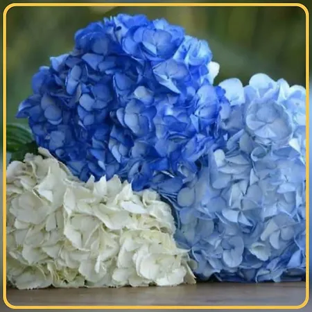 Holiday home Herdade Hortensias *